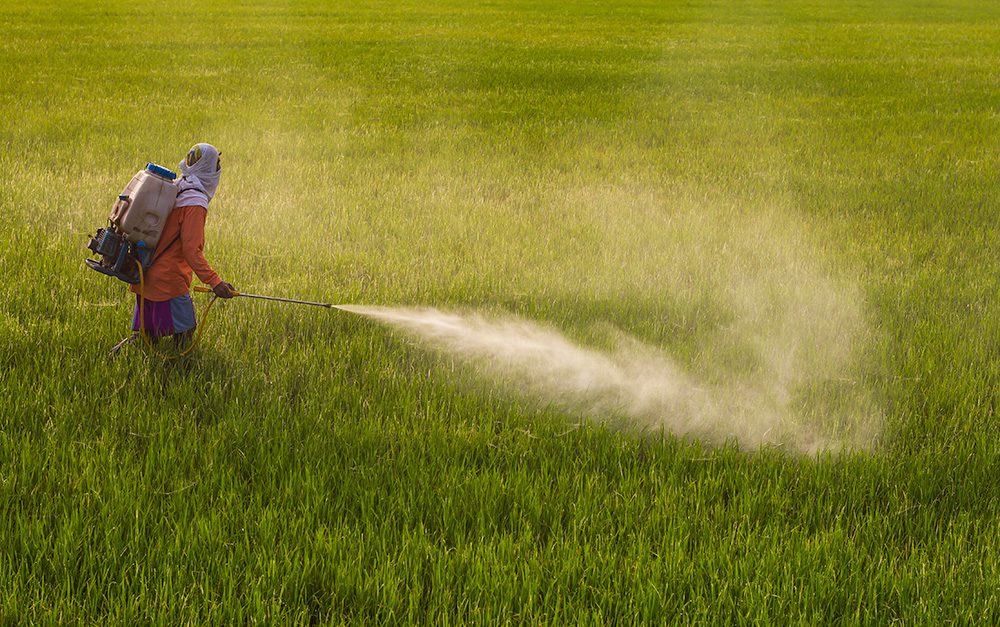 PESTICIDES